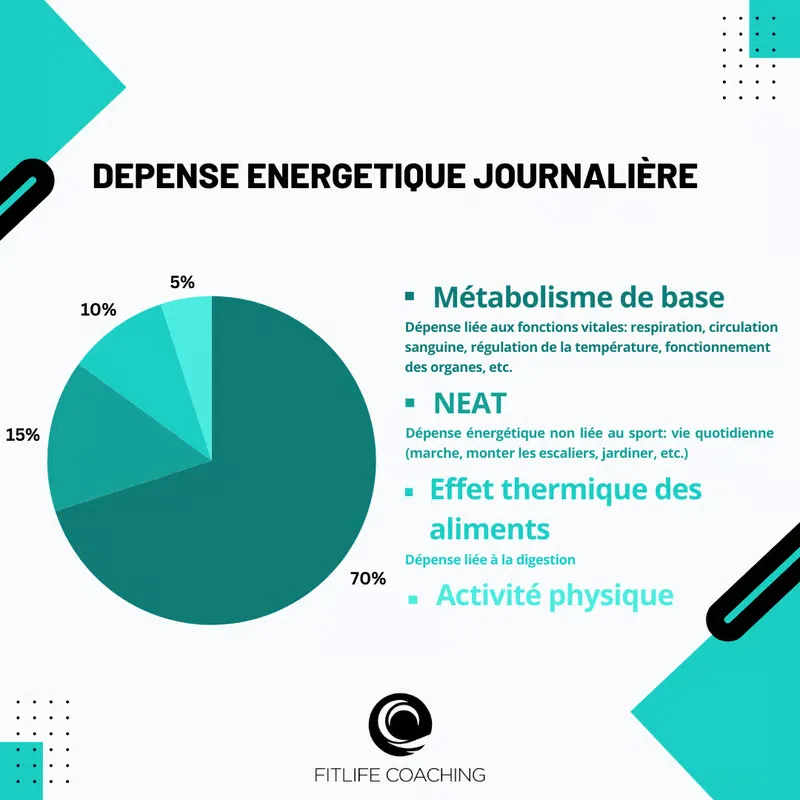 Le dĂ©ficit calorique: qu’est-ce que c’est vraiment?